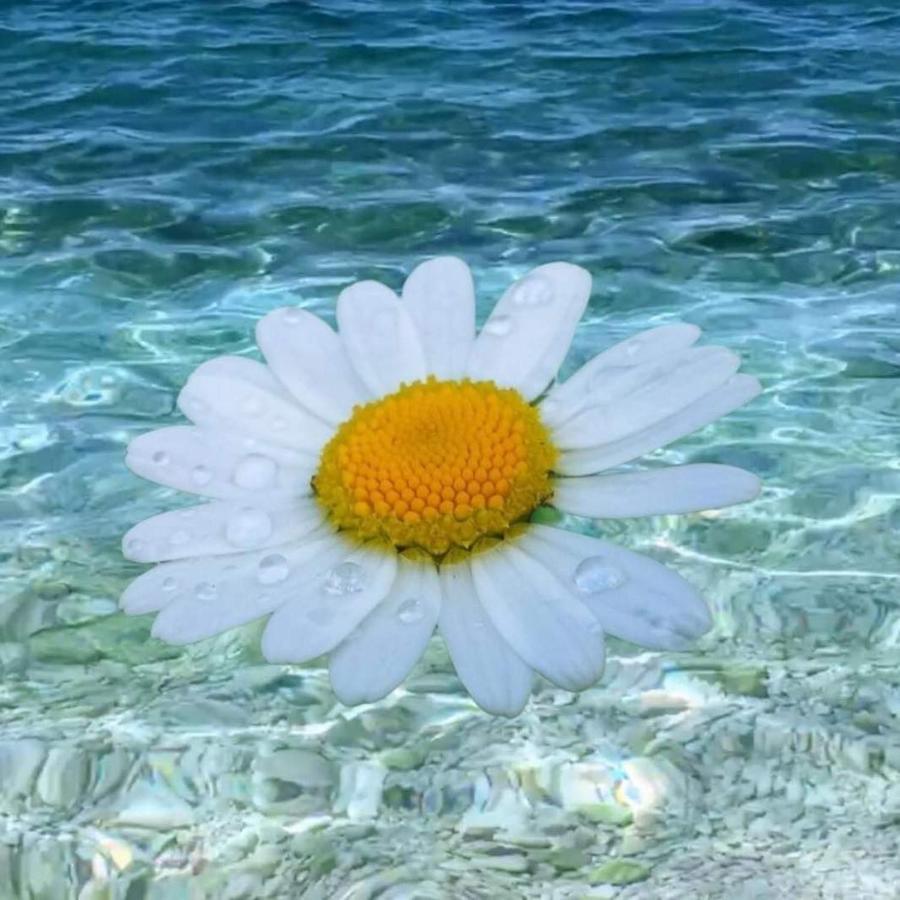 Apartments Slavica Trogir *
