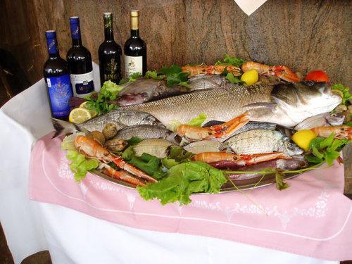 Slavica *